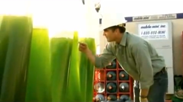 Algae Biodiesel – Pěstování řas jako biopalivo